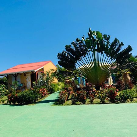 Villa Les Palmes Du Moulin Saint-Louis Exterior foto
