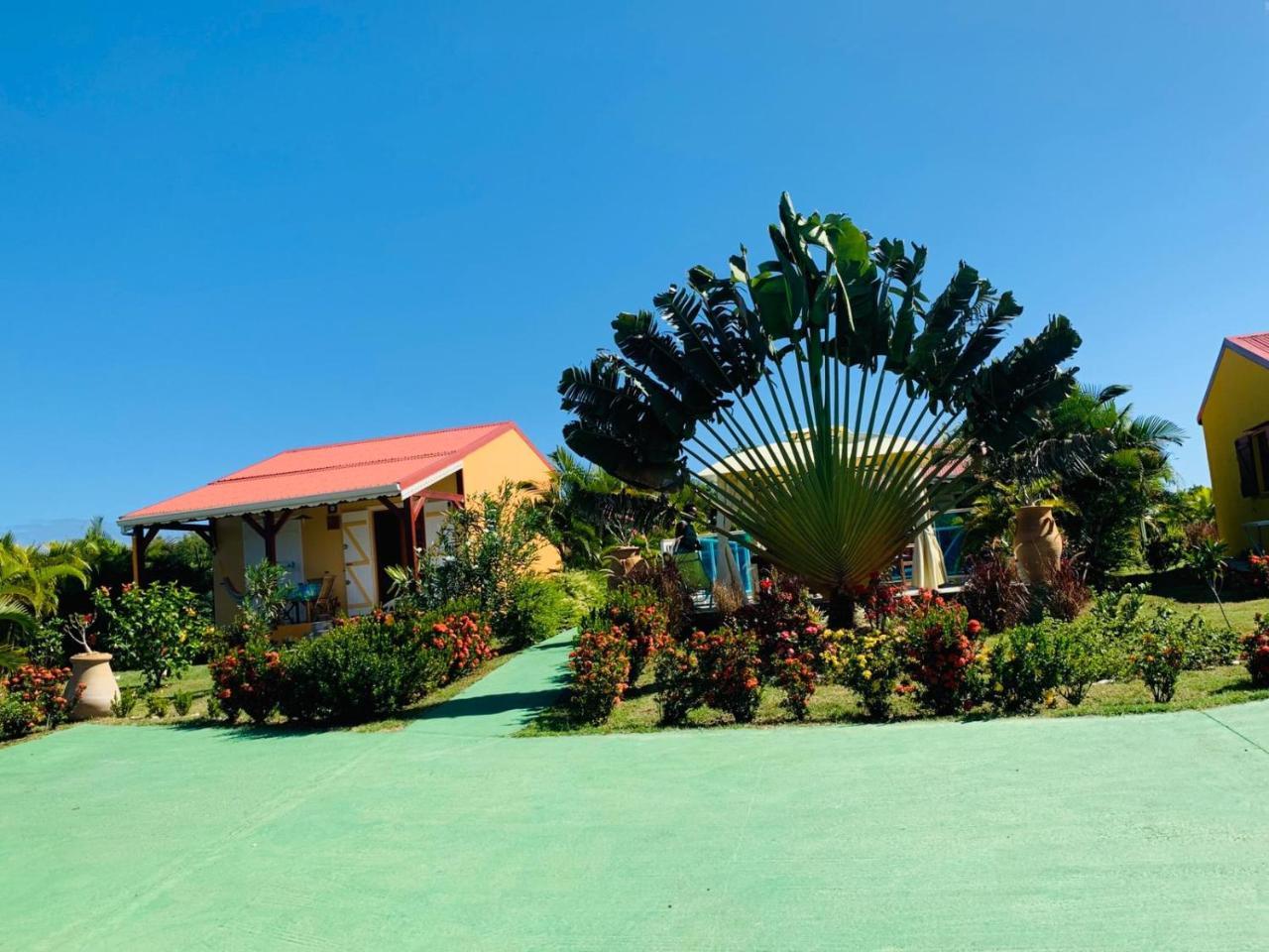 Villa Les Palmes Du Moulin Saint-Louis Exterior foto