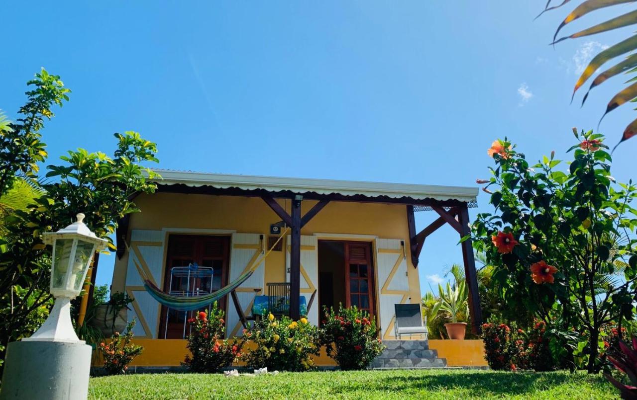Villa Les Palmes Du Moulin Saint-Louis Exterior foto